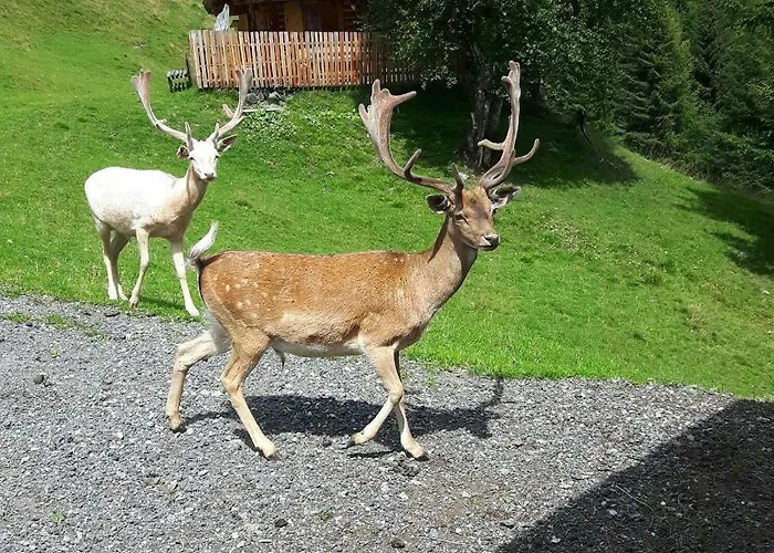 Apartmán Lobenwein *